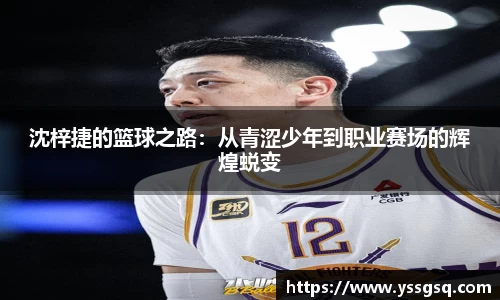 米兰体育官网